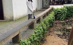 沐柒柒墨延爵小说全文免费阅读